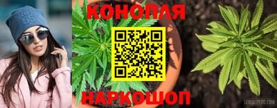 крисы Краснознаменск