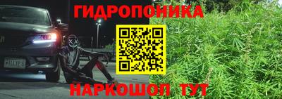 прущие крисы Краснодар