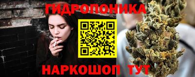 крисы Краснознаменск