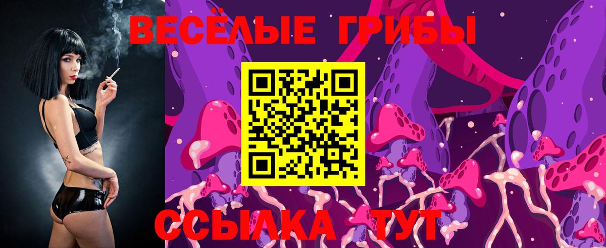 Зеленогорск  Галлюциногенные грибы Psilocybine cubensis  Вход с VPN 